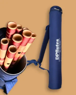 multiple flutes carry case