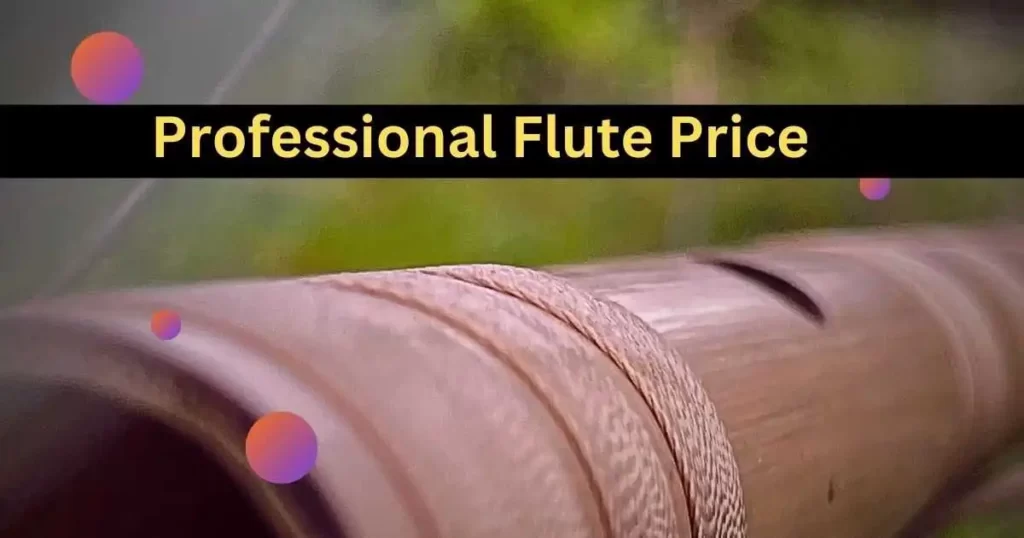 Professional Flute Price